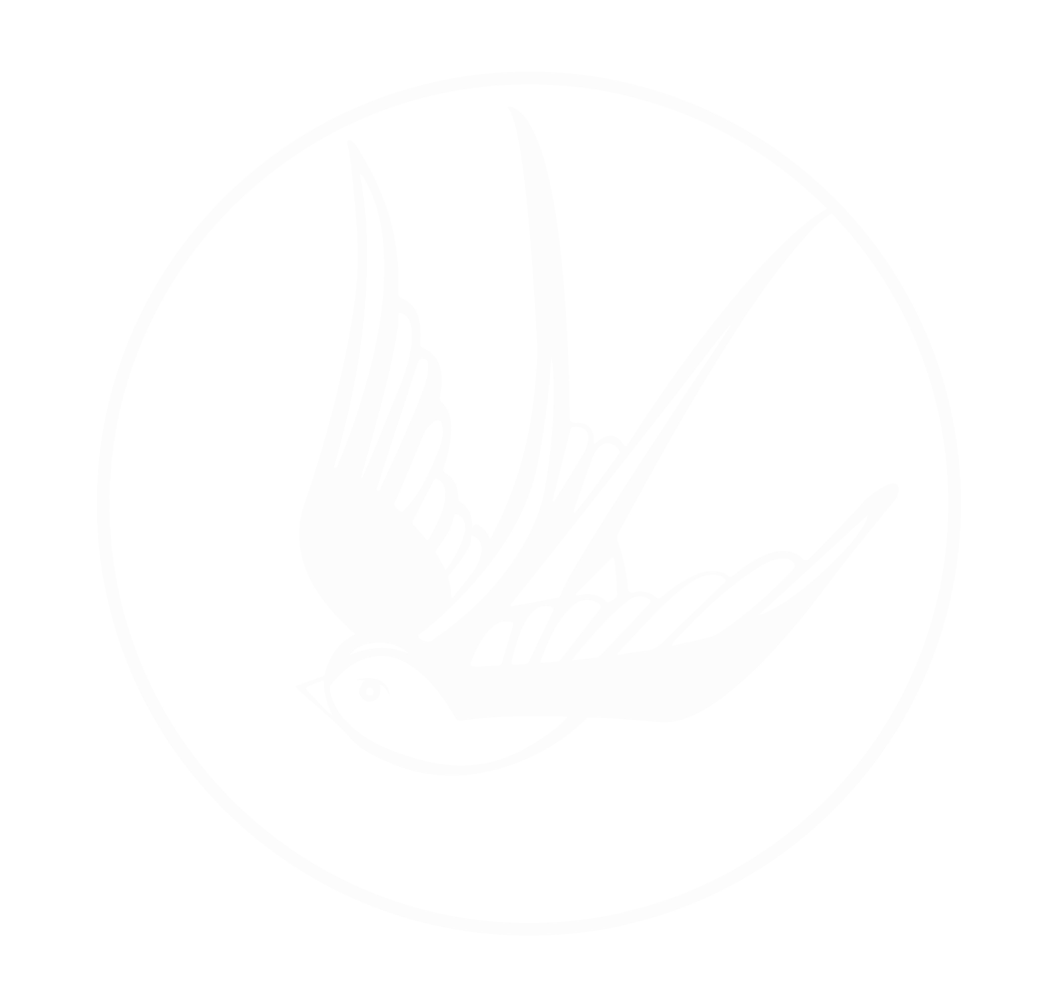 sandrisurfboards